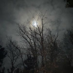 Meet your Posher, Devon